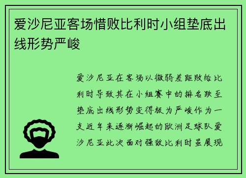 爱沙尼亚客场惜败比利时小组垫底出线形势严峻